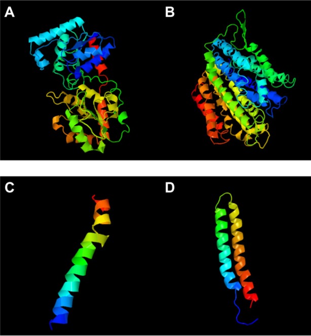 Identification and analysis of potential targets in Streptococcus sanguinis using computer aided protein data analysis.