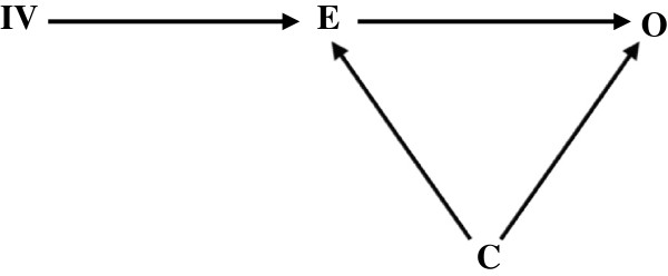 The individualistic fallacy, ecological studies and instrumental variables: a causal interpretation.