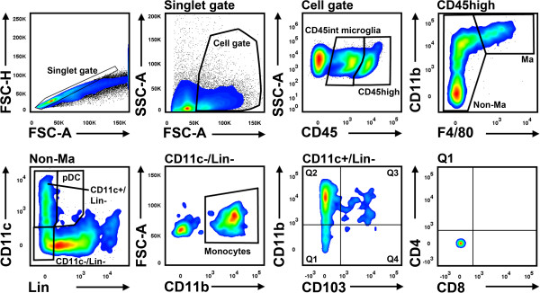 Flow cytometric characterization of brain dendritic cell subsets after murine stroke.