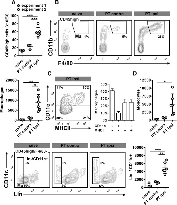 Flow cytometric characterization of brain dendritic cell subsets after murine stroke.