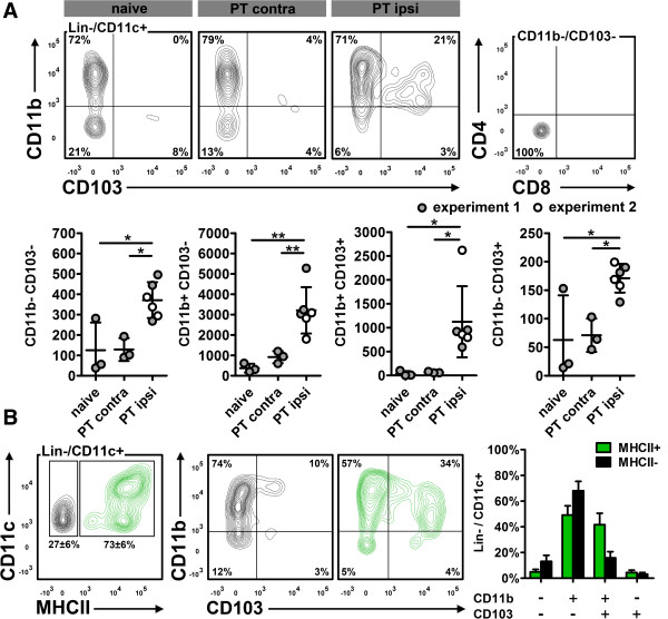 Flow cytometric characterization of brain dendritic cell subsets after murine stroke.