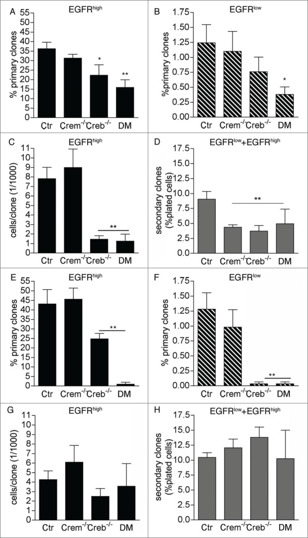 Regulation of proliferation and histone acetylation in embryonic neural precursors by CREB/CREM signaling.