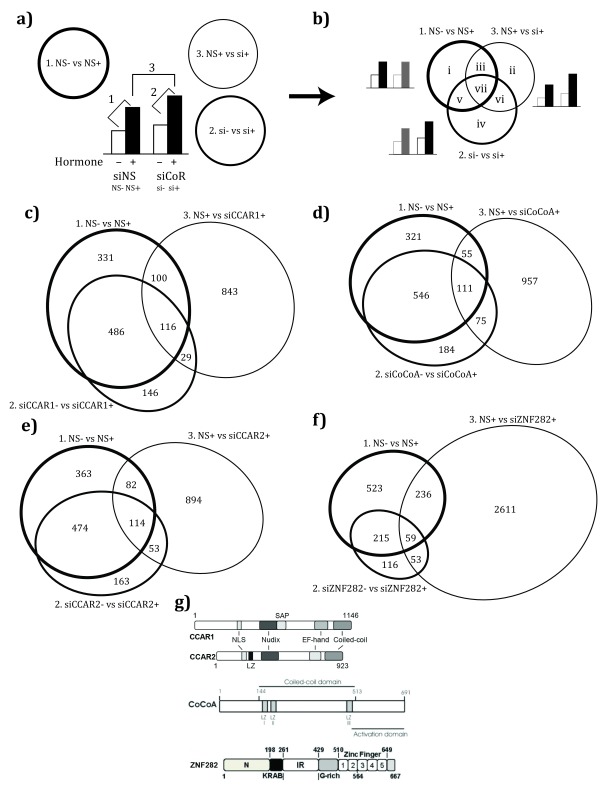 Distinct, genome-wide, gene-specific selectivity patterns of four glucocorticoid receptor coregulators.