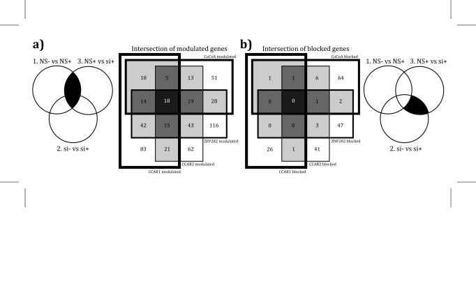 Distinct, genome-wide, gene-specific selectivity patterns of four glucocorticoid receptor coregulators.