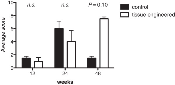 The feasibility of ureteral tissue engineering using autologous veins: an orthotopic animal model with long term results.