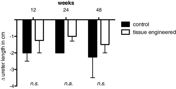 The feasibility of ureteral tissue engineering using autologous veins: an orthotopic animal model with long term results.