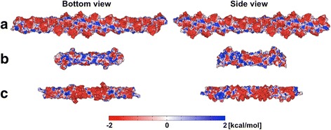 Langevin dynamics simulations of charged model phosphatidylinositol lipids in the presence of diffusion barriers: toward an atomic level understanding of corralling of PIP2 by protein fences in biological membranes.