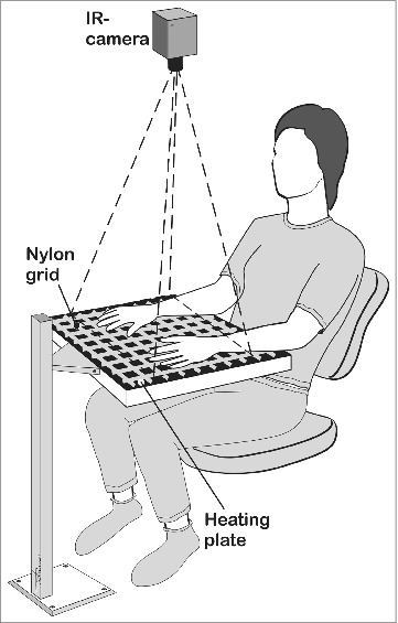 The effect of oral uptake of nicotine in snus on peripheral skin blood circulation evaluated by thermography.