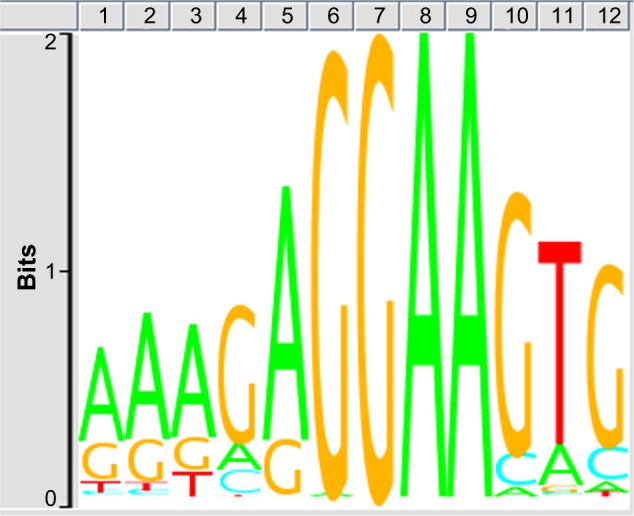 A Comprehensive Profile of ChIP-Seq-Based PU.1/Spi1 Target Genes in Microglia.