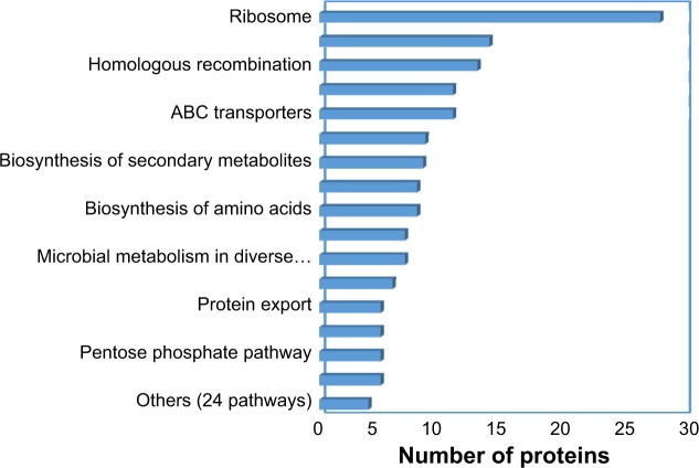 Genome-wide Analysis of Mycoplasma hominis for the Identification of Putative Therapeutic Targets.