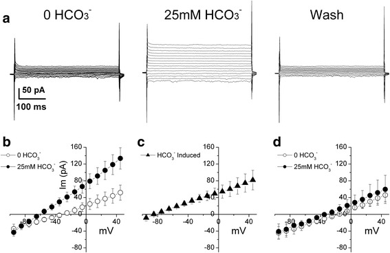 A novel delta current method for transport stoichiometry estimation.