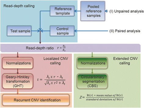 Copy number variation analysis based on AluScan sequences.