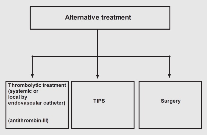 Nonsurgical Therapeutic Options in Portal Vein Thrombosis.