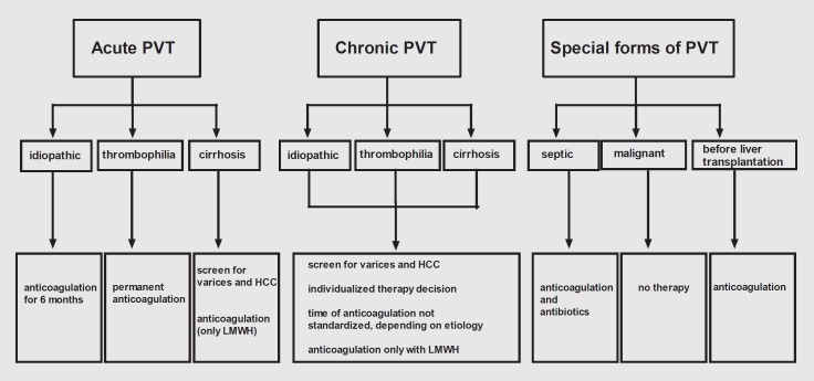 Nonsurgical Therapeutic Options in Portal Vein Thrombosis.