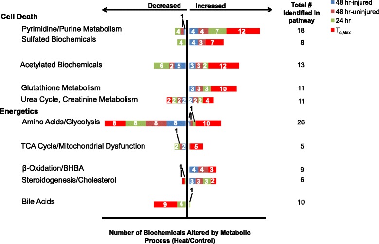 Alteration in circulating metabolites during and after heat stress in the conscious rat: potential biomarkers of exposure and organ-specific injury.