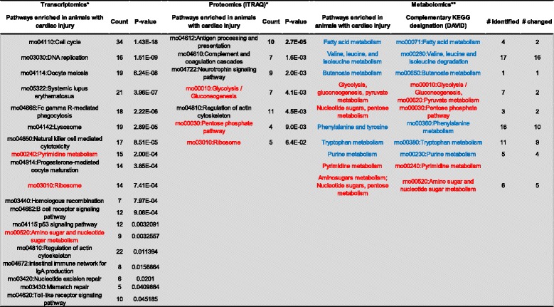 Alteration in circulating metabolites during and after heat stress in the conscious rat: potential biomarkers of exposure and organ-specific injury.