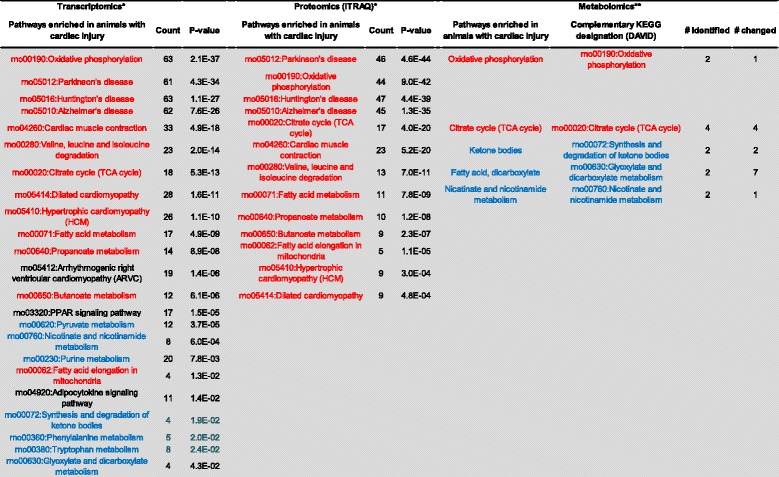 Alteration in circulating metabolites during and after heat stress in the conscious rat: potential biomarkers of exposure and organ-specific injury.