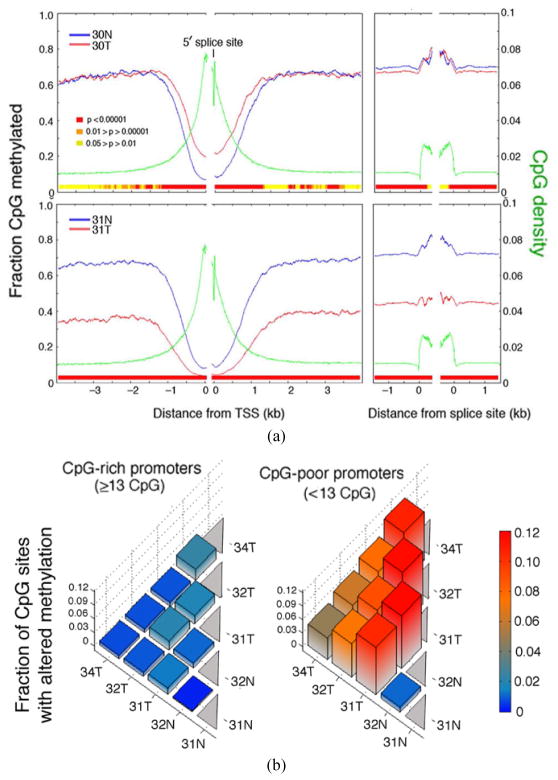 Methylation Abnormalities in Mammary Carcinoma: The Methylation Suicide Hypothesis.