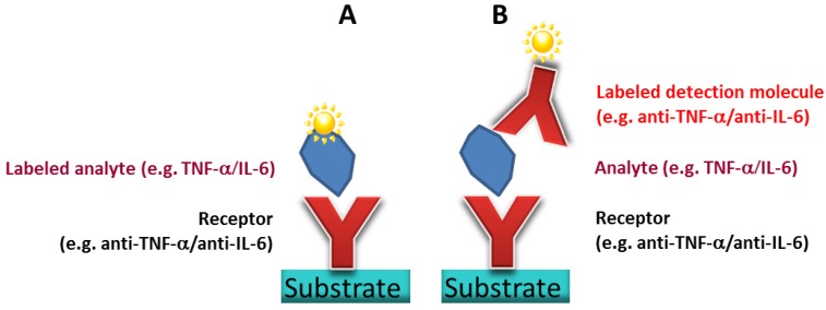 Fabrication of Homogeneous High-Density Antibody Microarrays for Cytokine Detection.