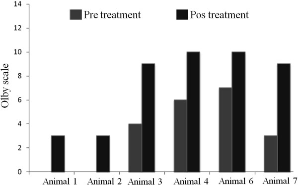 Pilot study: bone marrow stem cells as a treatment for dogs with chronic spinal cord injury.