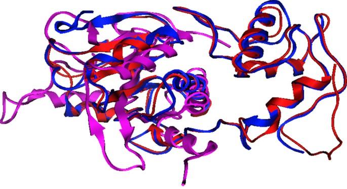 Structure to function prediction of hypothetical protein KPN_00953 (Ycbk) from Klebsiella pneumoniae MGH 78578 highlights possible role in cell wall metabolism