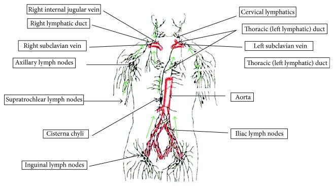 Chylous Ascites: Evaluation and Management.