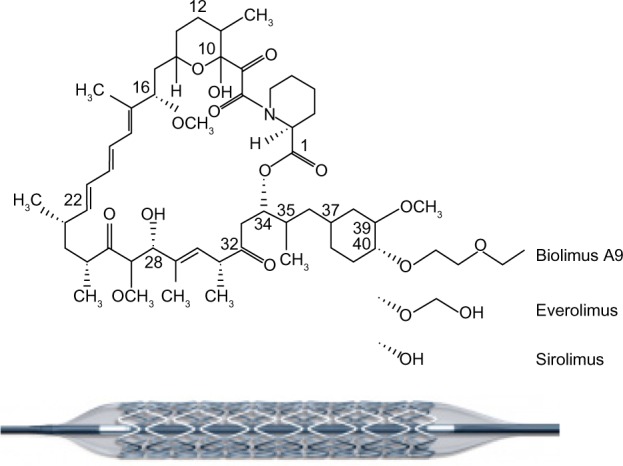 Biodegradable polymer Biolimus-eluting stent (Nobori®) for the treatment of coronary artery lesions: review of concept and clinical results.