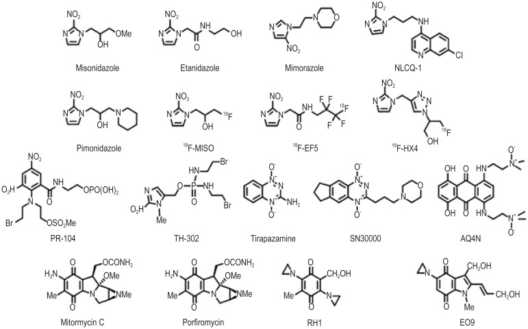 Bioreductive prodrugs as cancer therapeutics: targeting tumor hypoxia.