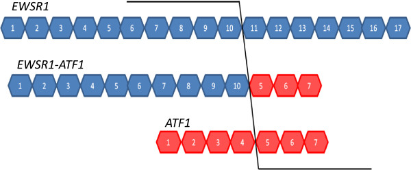 Development of detection method for novel fusion gene using GeneChip exon array.