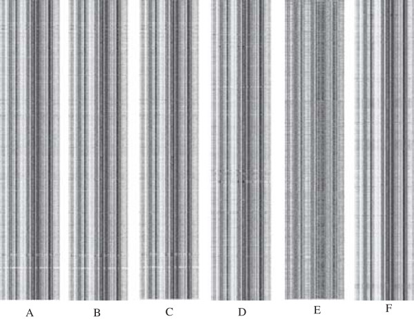 A novel molecular typing method of Mycobacteria based on DNA barcoding visualization.