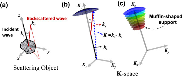 Investigation of nanoscale structural alterations of cell nucleus as an early sign of cancer.