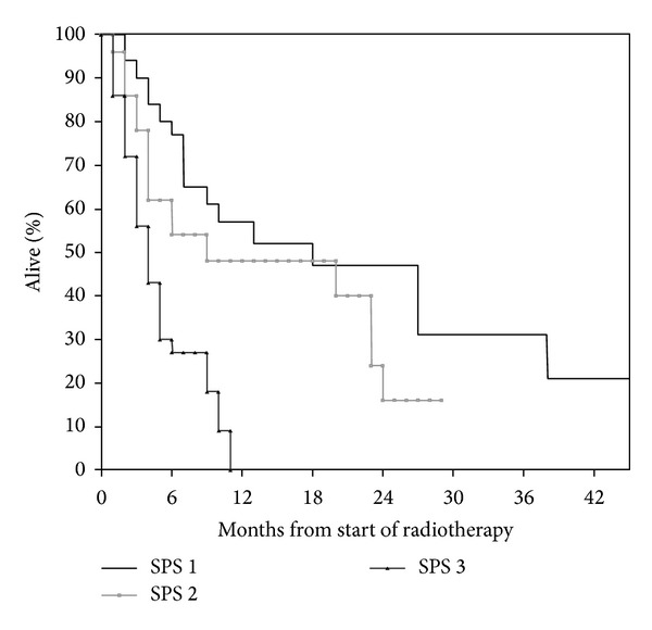 Survival prediction score: a simple but age-dependent method predicting prognosis in patients undergoing palliative radiotherapy.