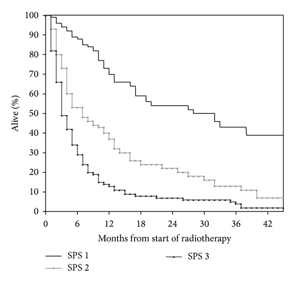 Survival prediction score: a simple but age-dependent method predicting prognosis in patients undergoing palliative radiotherapy.