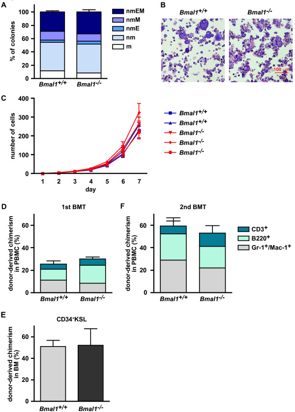 Clock gene Bmal1 is dispensable for intrinsic properties of murine hematopoietic stem cells.