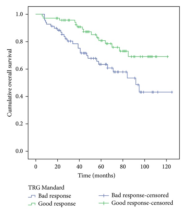 Prognostic value of mandard and dworak tumor regression grading in rectal cancer: study of a single tertiary center.