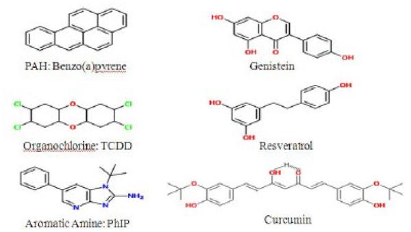 Cancer-promoting and Inhibiting Effects of Dietary Compounds: Role of the Aryl Hydrocarbon Receptor (AhR).