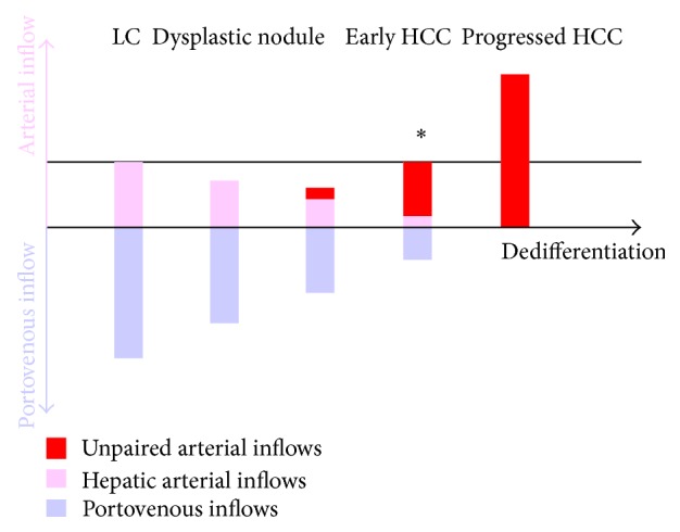 Tumor Hemodynamics and Hepatocarcinogenesis: Radio-Pathological Correlations and Outcomes of Carcinogenic Hepatocyte Nodules.