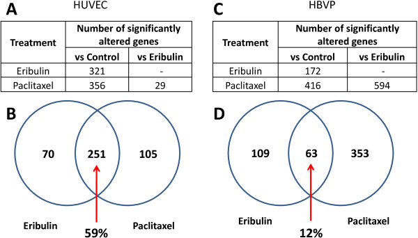 Eribulin mesylate exerts specific gene expression changes in pericytes and shortens pericyte-driven capillary network in vitro.