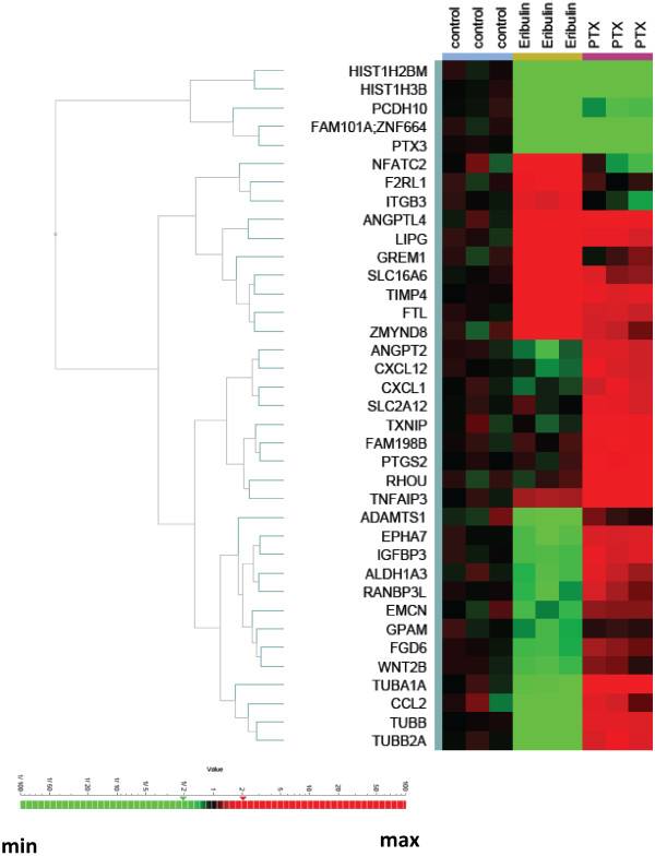 Eribulin mesylate exerts specific gene expression changes in pericytes and shortens pericyte-driven capillary network in vitro.