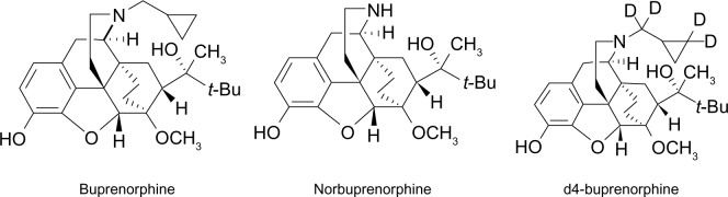 Buprenorphine and norbuprenorphine determination in mice plasma and brain by gas chromatography-mass spectrometry.