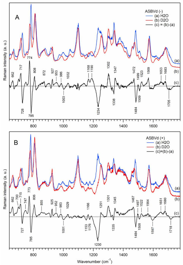 Raman characterization of Avocado Sunblotch viroid and its response to external perturbations and self-cleavage.