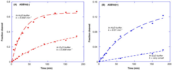 Raman characterization of Avocado Sunblotch viroid and its response to external perturbations and self-cleavage.