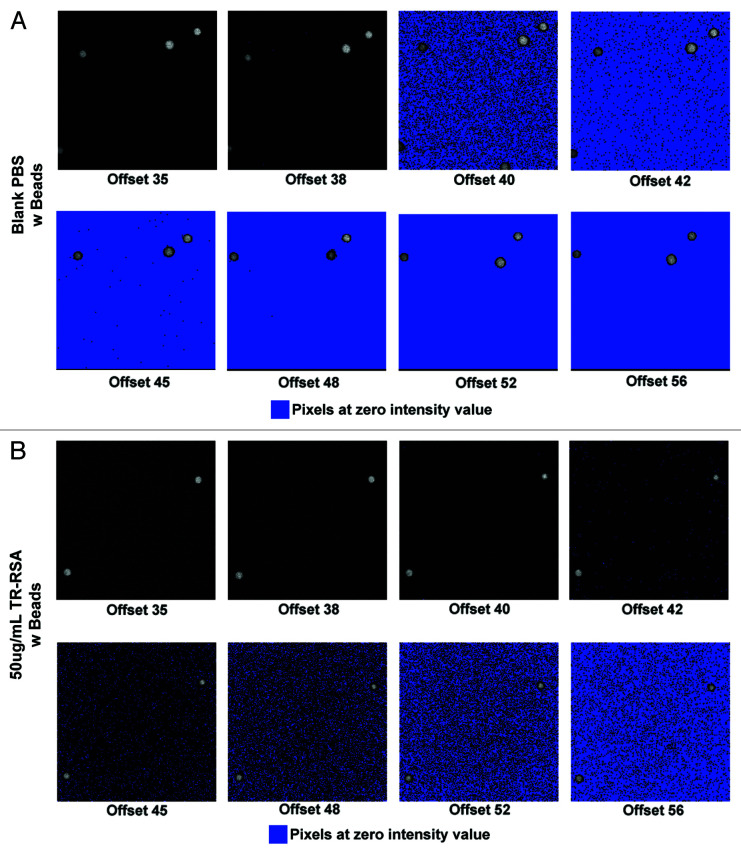 Finding the bottom and using it: Offsets and sensitivity in the detection of low intensity values in vivo with 2-photon microscopy.