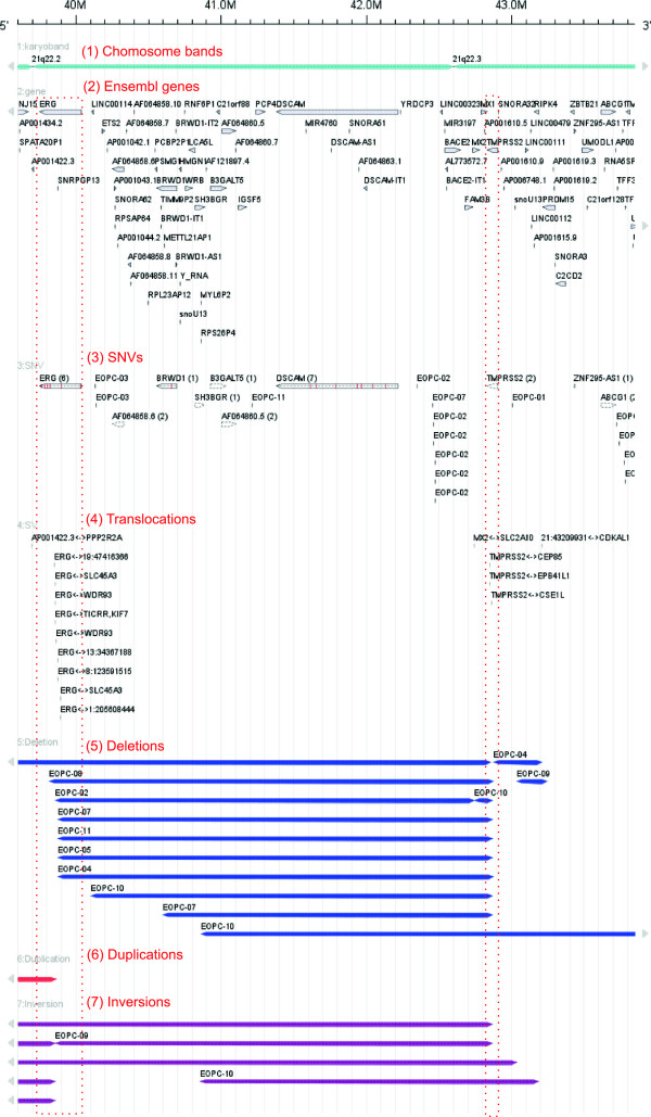 FISH Oracle 2: a web server for integrative visualization of genomic data in cancer research.