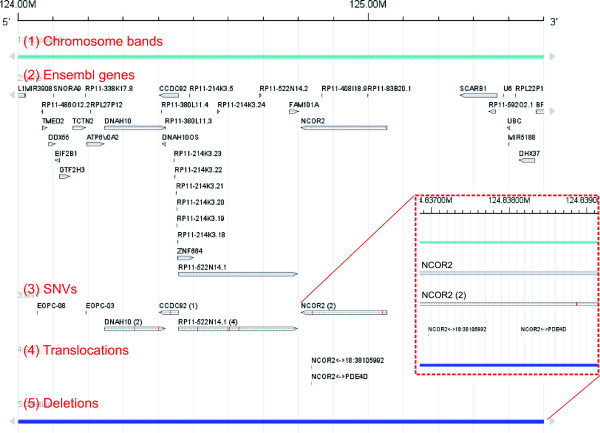 FISH Oracle 2: a web server for integrative visualization of genomic data in cancer research.