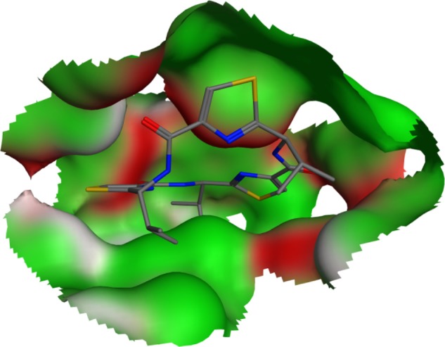 In silico structure-based screening of versatile P-glycoprotein inhibitors using polynomial empirical scoring functions.
