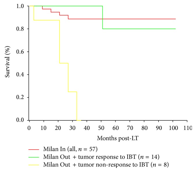 Liver Transplantation for Hepatocellular Carcinoma beyond Milan Criteria: Multidisciplinary Approach to Improve Outcome.