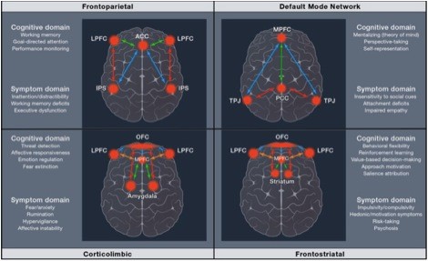 Imaging the pathophysiology of major depressive disorder - from localist models to circuit-based analysis.
