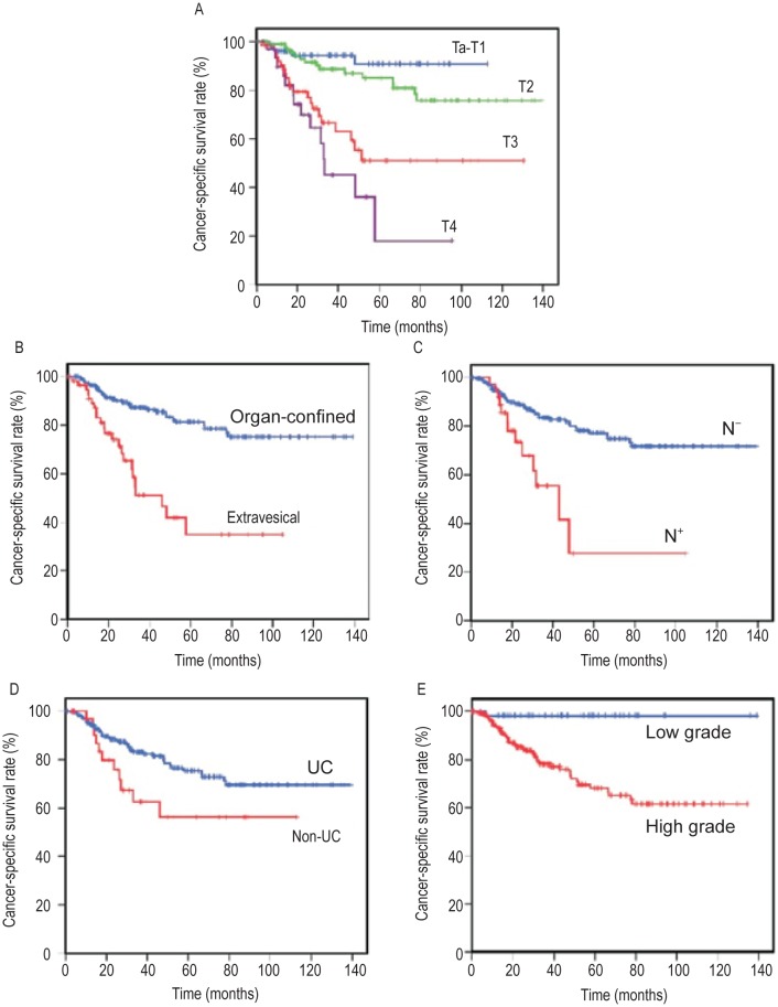 Radical cystectomy for bladder cancer: oncologic outcome in 271 Chinese patients.