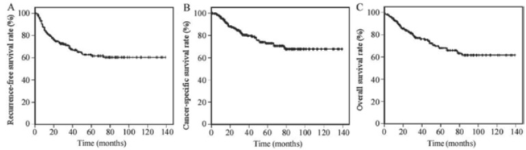 Radical cystectomy for bladder cancer: oncologic outcome in 271 Chinese patients.